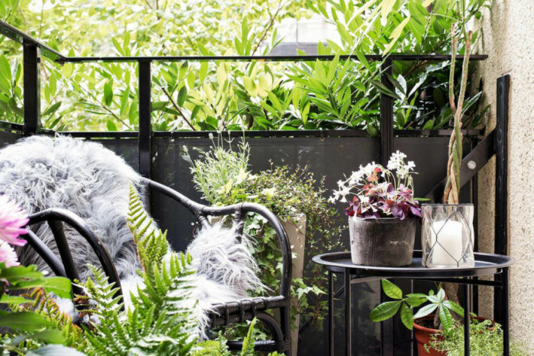 Foto: Maria Sahlander Styling: By Bon Interior för <a href="https://www.instagram.com/bjurfors_goteborg/" target="_blank" rel="noopener">Bjurfors</a>/mäklare: Maria Adielsson Scandinavian balcony with green plants and black furniture.