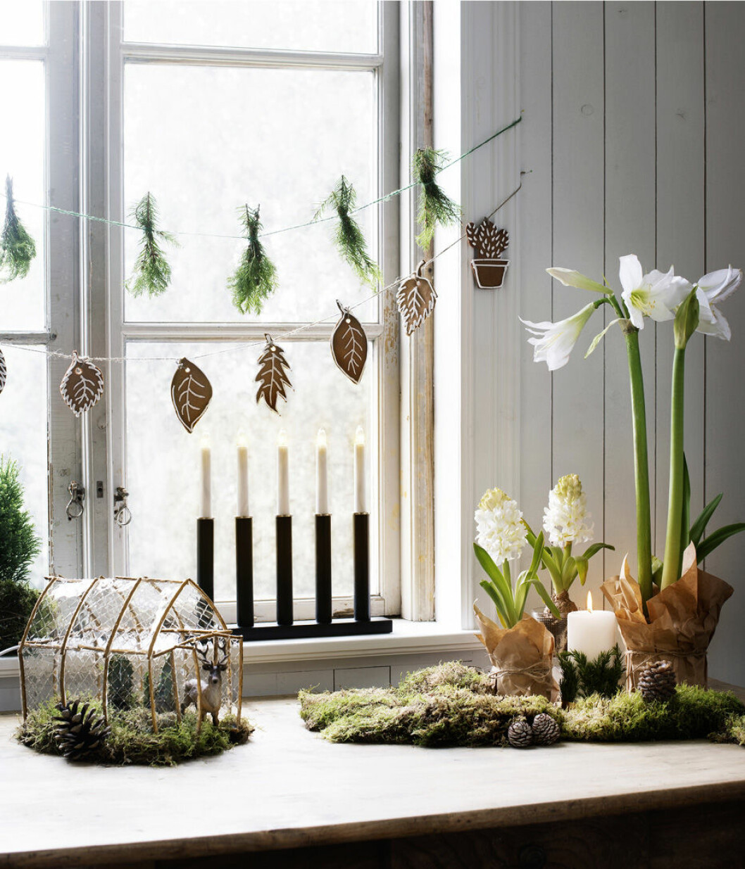 Foto: <a href="http://www.plantagen.se/" target="_blank" rel="noopener">Plantagen</a> Juldekorationer i form av girlanger