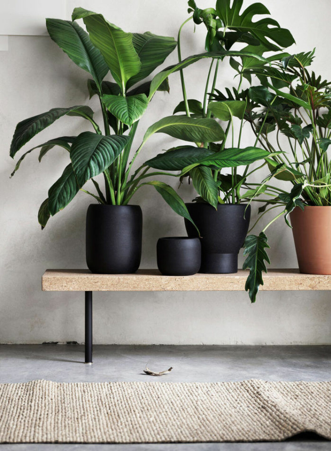 Foto: <a href="http://livethemma.ikea.se/sinnerlig-formsprak/" target="_blank" rel="noopener">Ikea Livet hemma</a> 01. inred-vaxter