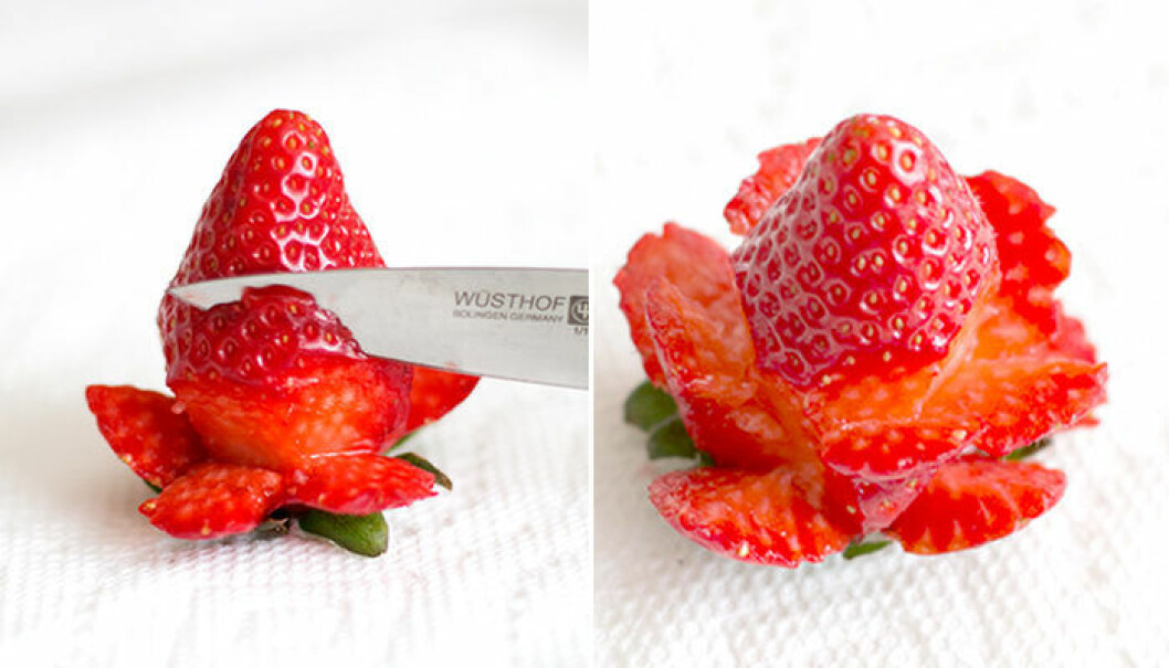 Foto: <a href="http://ashandcrafts.com/strawberry-roses/" target="_blank" rel="noopener">Ash and crafts</a>