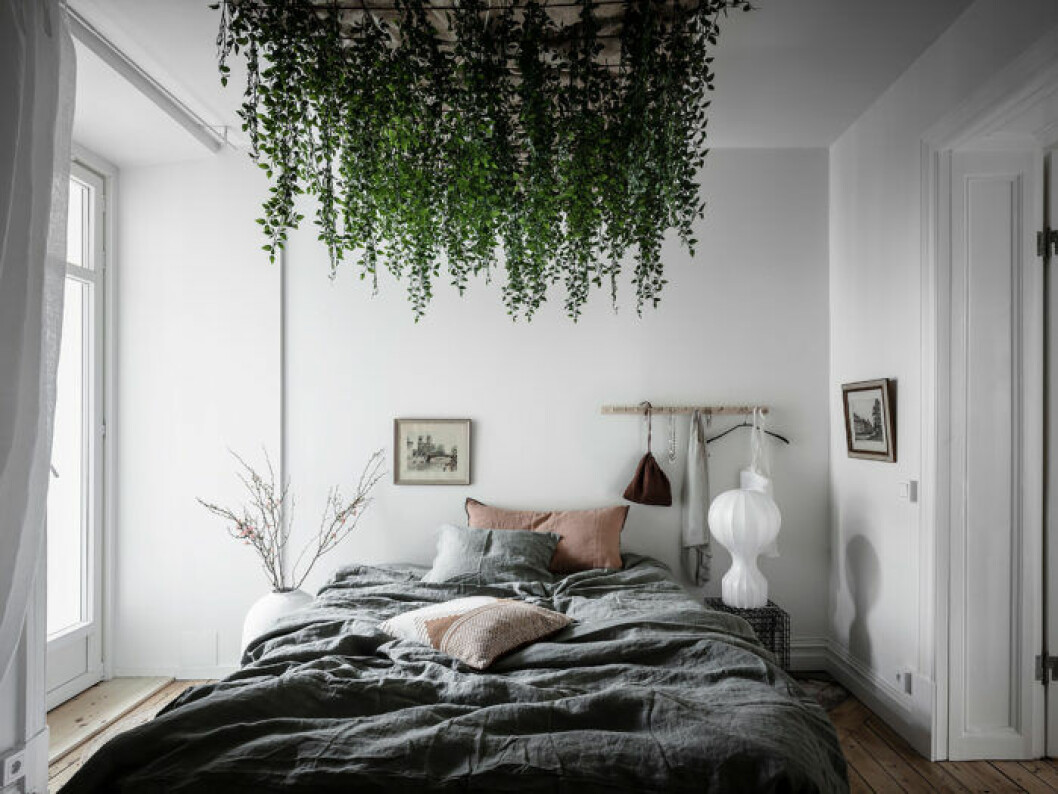 Foto: Anders Bergstedt Styling: Nouvel interiör för <a href="https://www.instagram.com/entrancemakleri/" target="_blank" rel="noopener">Entrance mäkleri</a>/mäklare: Jessica Fridstedt Växter i taket
