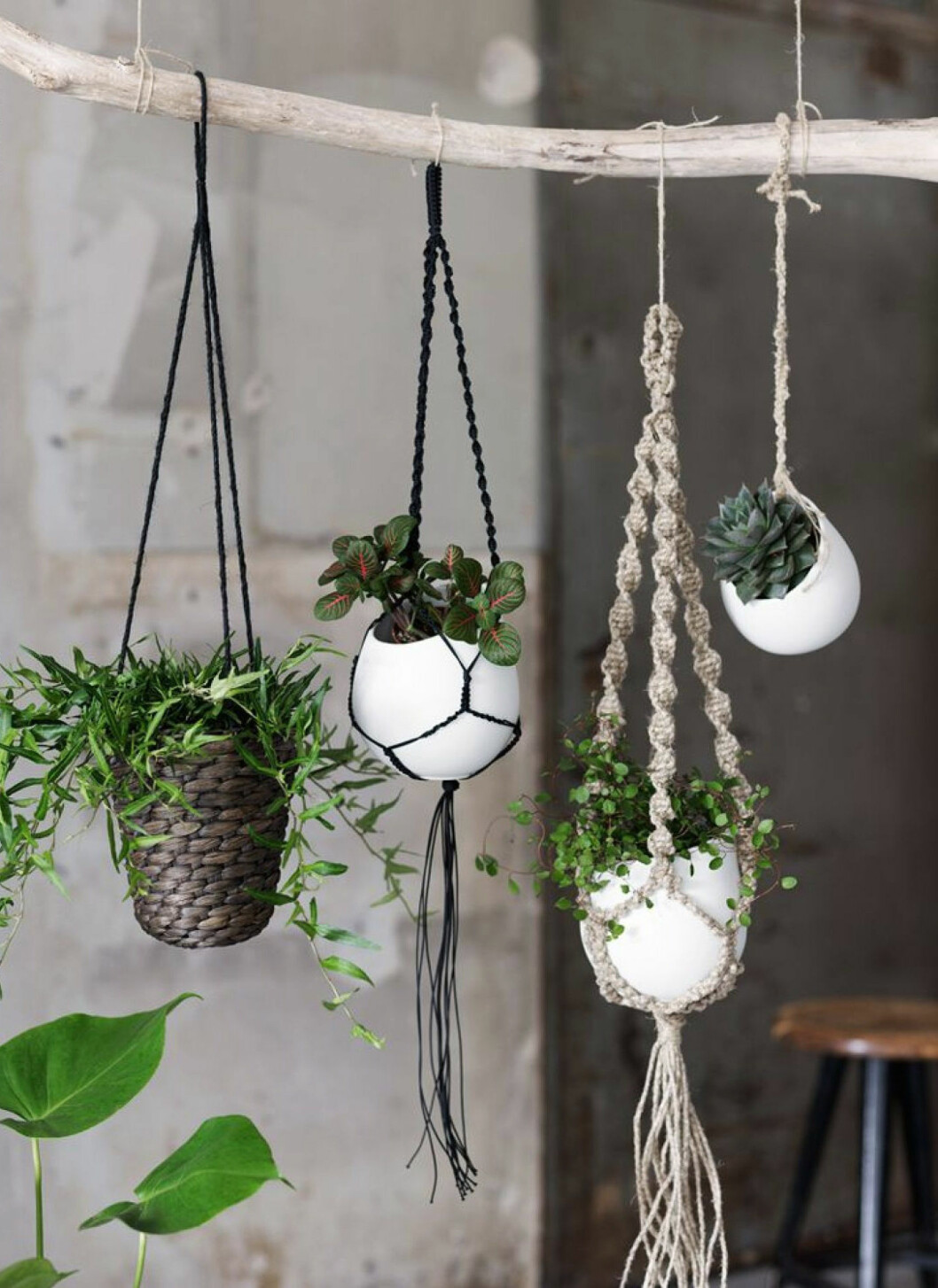 Foto: <a href="http://www.ikea.com/se/sv/" target="_blank">Ikea</a> 02. ampel