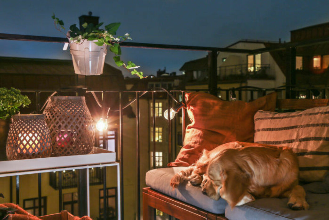 Foto: Bosse Melin Styling: Studio Cuvier för <a href="https://www.instagram.com/alvhem/" target="_blank" rel="noopener">Alvhem</a>/mäklare: Jim Wetterling Scandinavian balcony night time with stringlights and plants.
