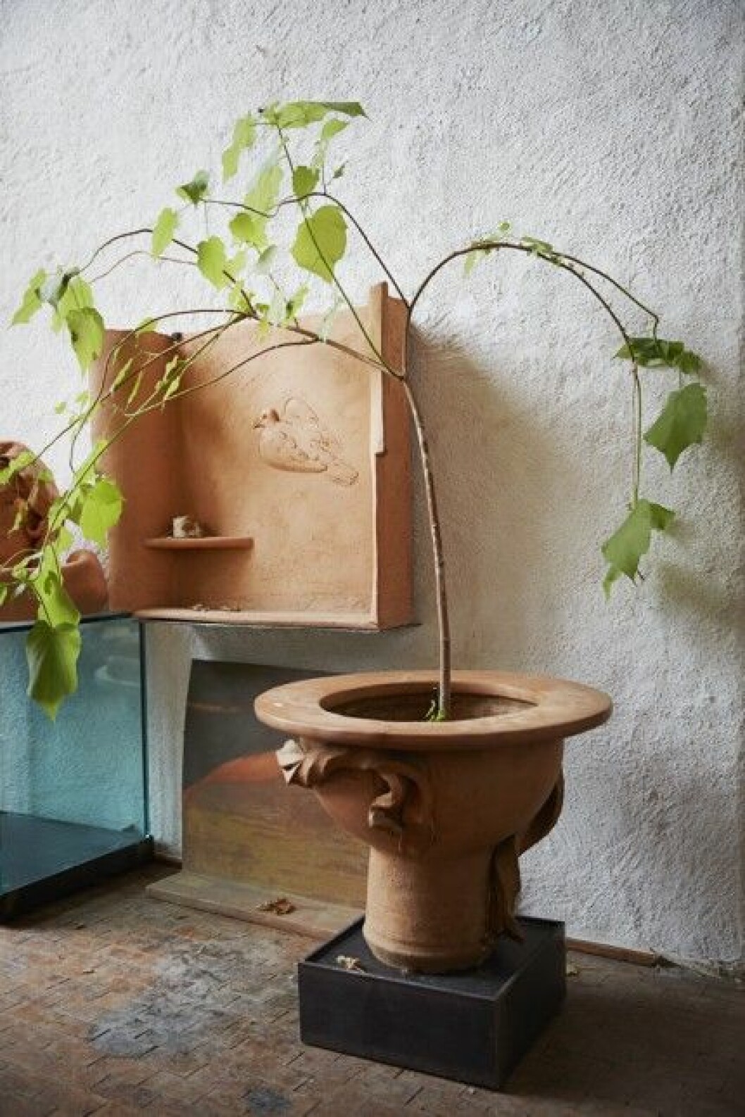Foto: <a href="http://danielwahlberg.se/" target="_blank" rel="noopener">Daniel Wahlberg</a>/Stockholms auktionsverk Syns i: ”<a href="https://www.elle.se/decoration/hertha-hillfon-ett-liv-pa-auktion/" target="_blank" rel="noopener">Hemma hos Hertha Hillfon – ett liv på auktion</a>” Skötselråd och tips för rumslind.