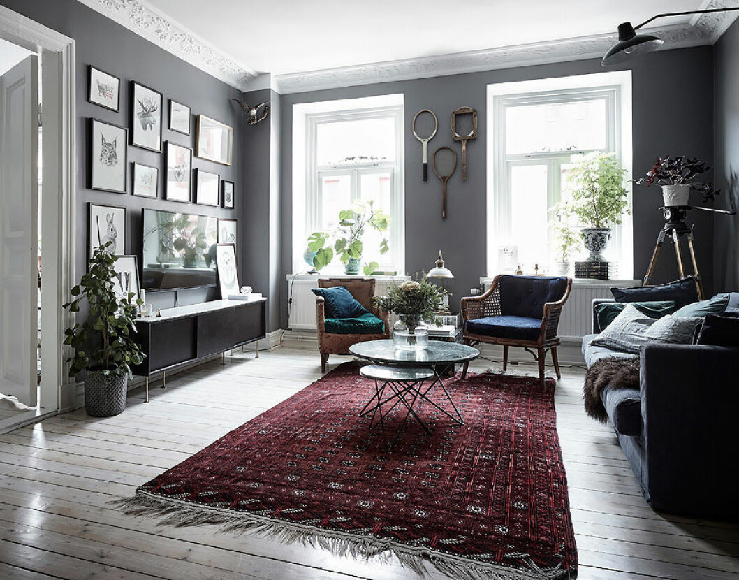 Foto: Anders Bergstedt för <a href="https://www.instagram.com/entrancemakleri/" target="_blank" rel="noopener">Entrance mäkleri</a>/mäklare: Erika Bergholm Vardagsrum med gråa väggar där en röd matta blir färgklicken i rummet