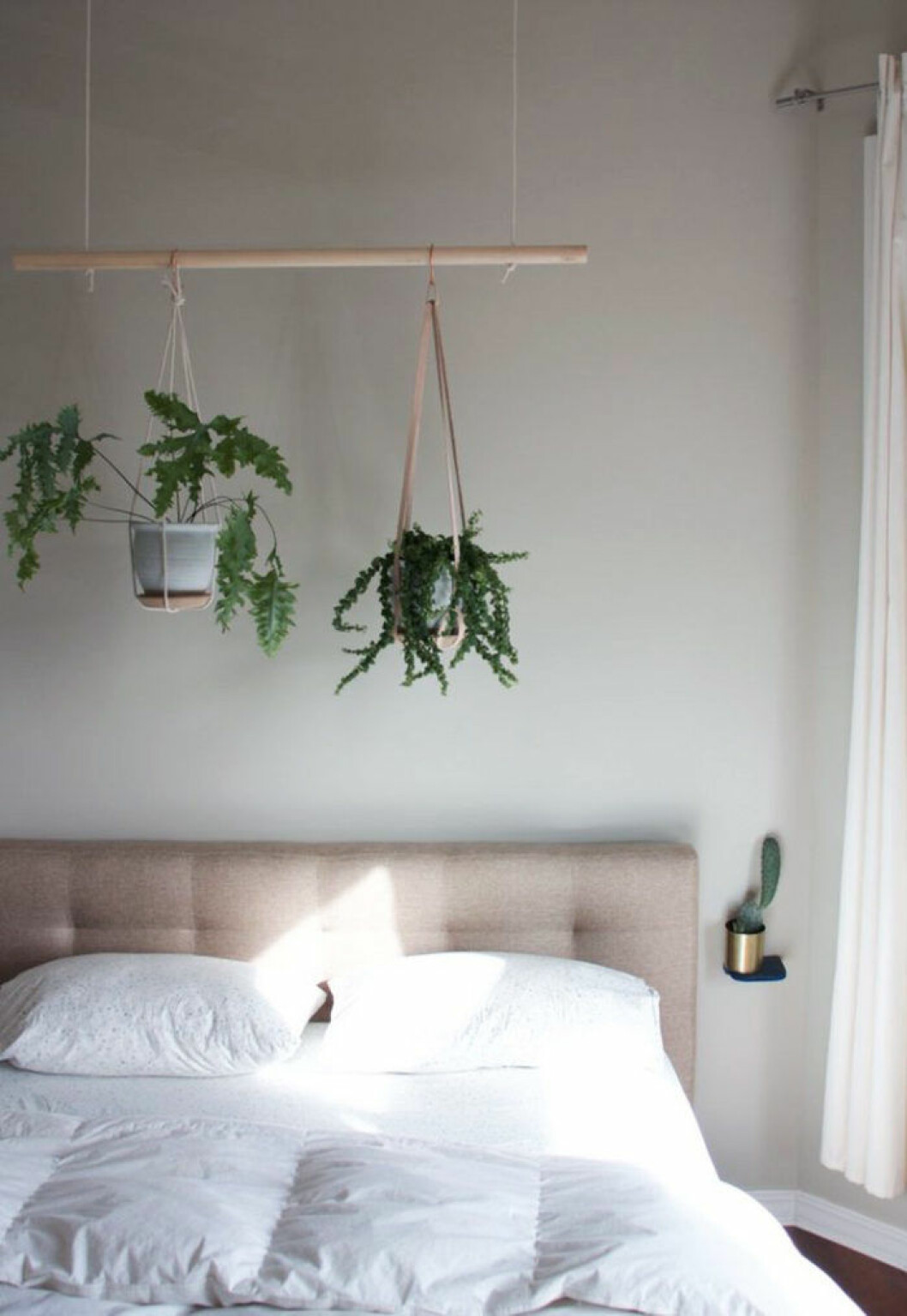Foto: <a href="https://www.pinterest.se/pin/26036504075942705/" target="_blank" rel="noopener">Miracle gro</a> 02. inred-vaxter