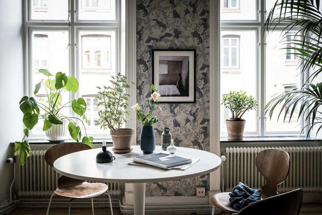 Foto: Alen Cordic Styling: Emma Fischer för <a href="https://www.instagram.com/bjurfors_goteborg/" target="_blank" rel="noopener">Bjurfors</a>/mäklare: Zara Ek Matplats med växter
