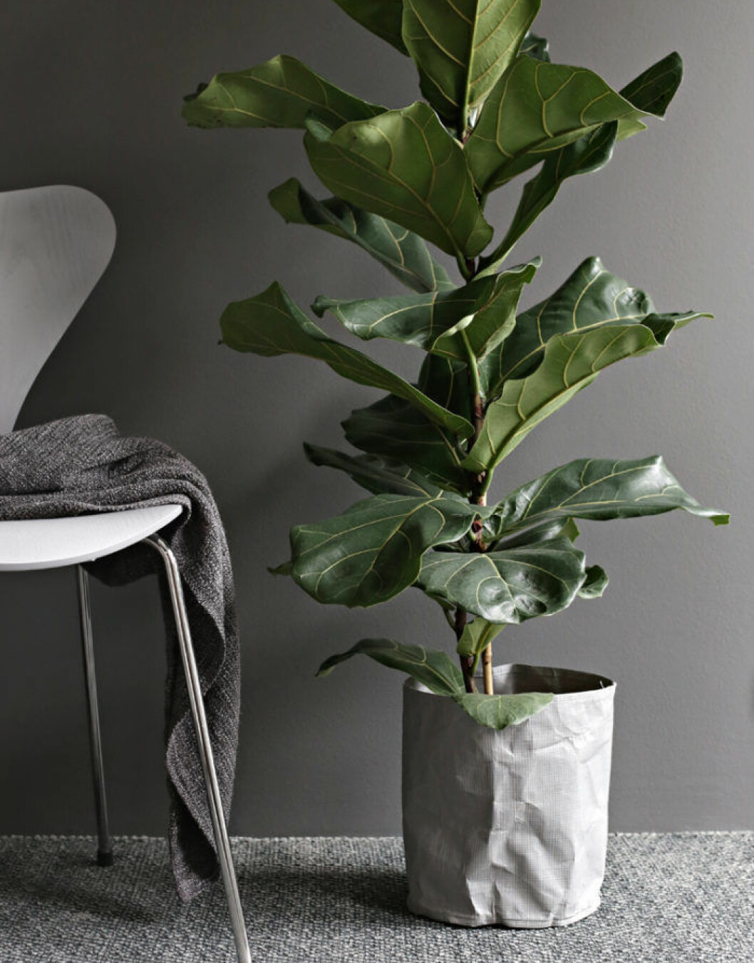 Foto via: <a href="https://www.queenslandhomes.com.au/taubmans-colour-of-the-year/" target="_blank" rel="noopener">Queensland homes</a> Vävd matta i naturfärg
