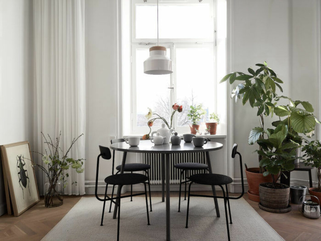 Foto: Fredric Boukari Styling: Wagell och Lindholm för <a href="https://www.instagram.com/historiskahem/" target="_blank" rel="noopener">Historiska hem</a>/mäklare: Mattias Lantto Ljust kök på Södermalm, runt bord och Afteroom-stolar, växthörn och tavlor.