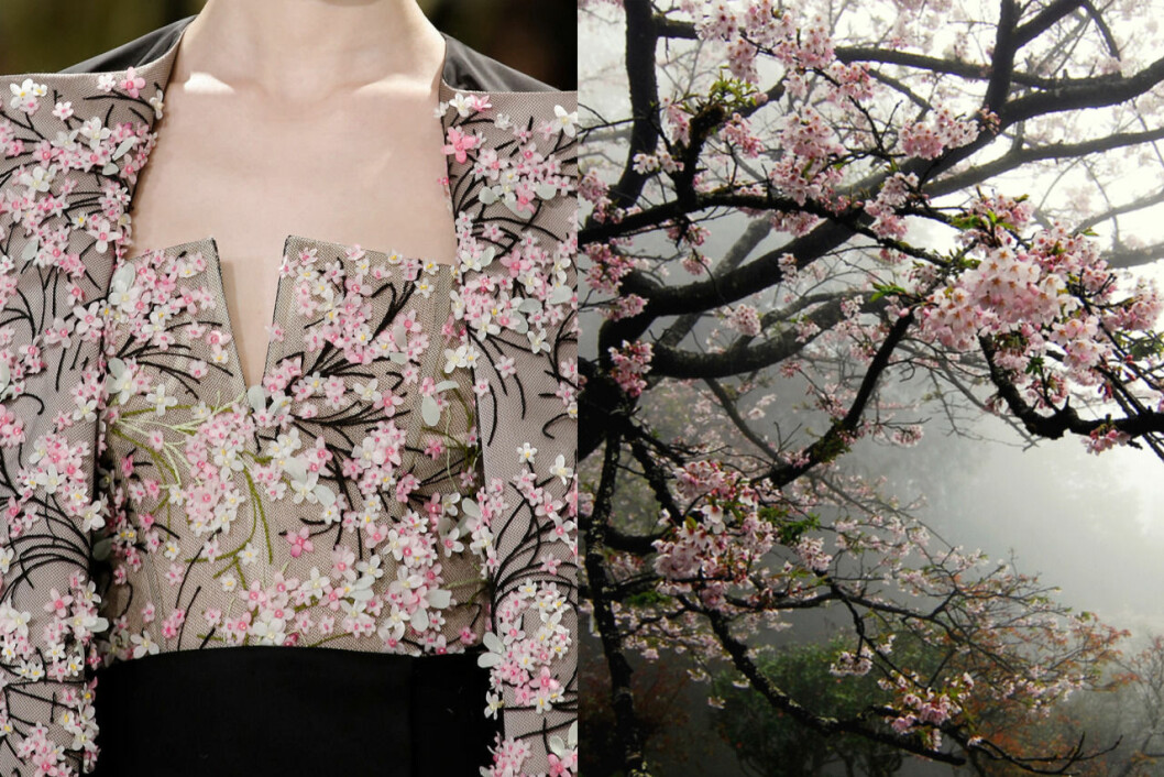 <em>Källa: <a href="http://whereiseefashion.tumblr.com/image/132290133925" target="_blank" rel="noopener">WISF</a></em> 03. dior-cherryblossom