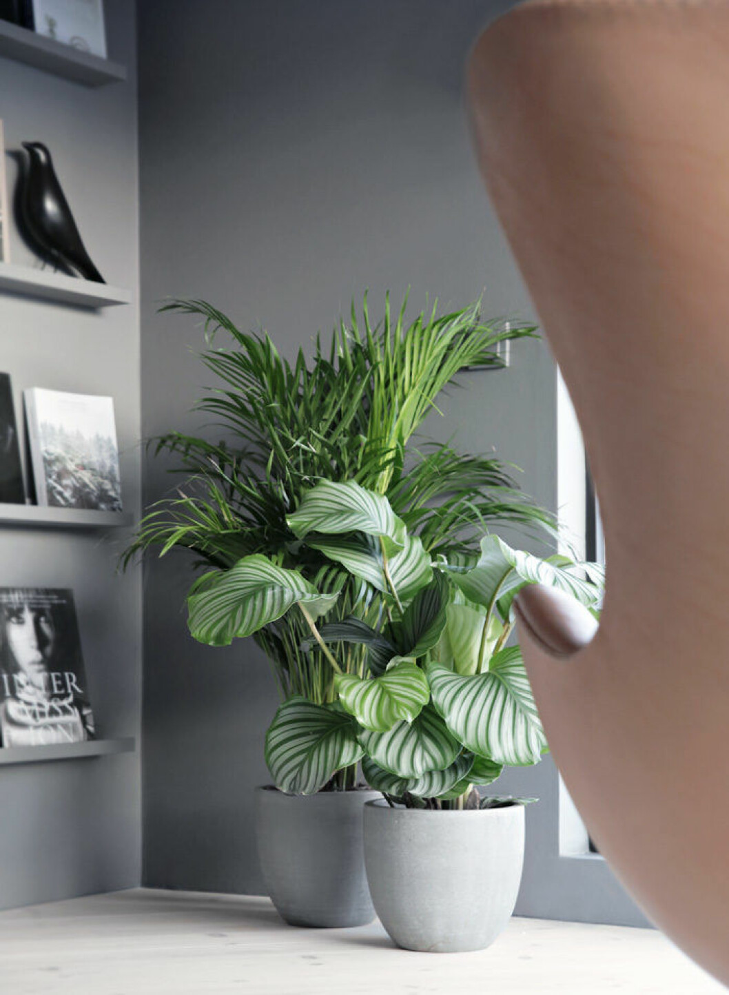 Foto: Nina Holst/<a href="http://stylizimoblog.com/2015/01/13/green-plants/" target="_blank" rel="noopener">Stylizimo</a> 03. inred-vaxter
