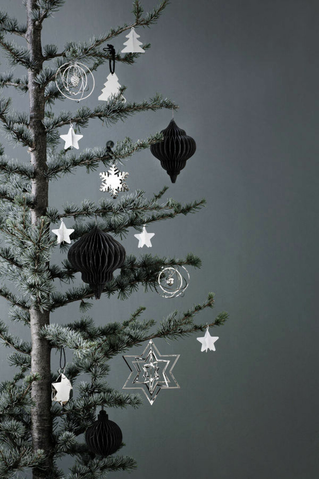 Foto: <a href="http://brostecopenhagen.com/" target="_blank" rel="noopener">Broste Copenhagen</a> 03. julgran-monokrom