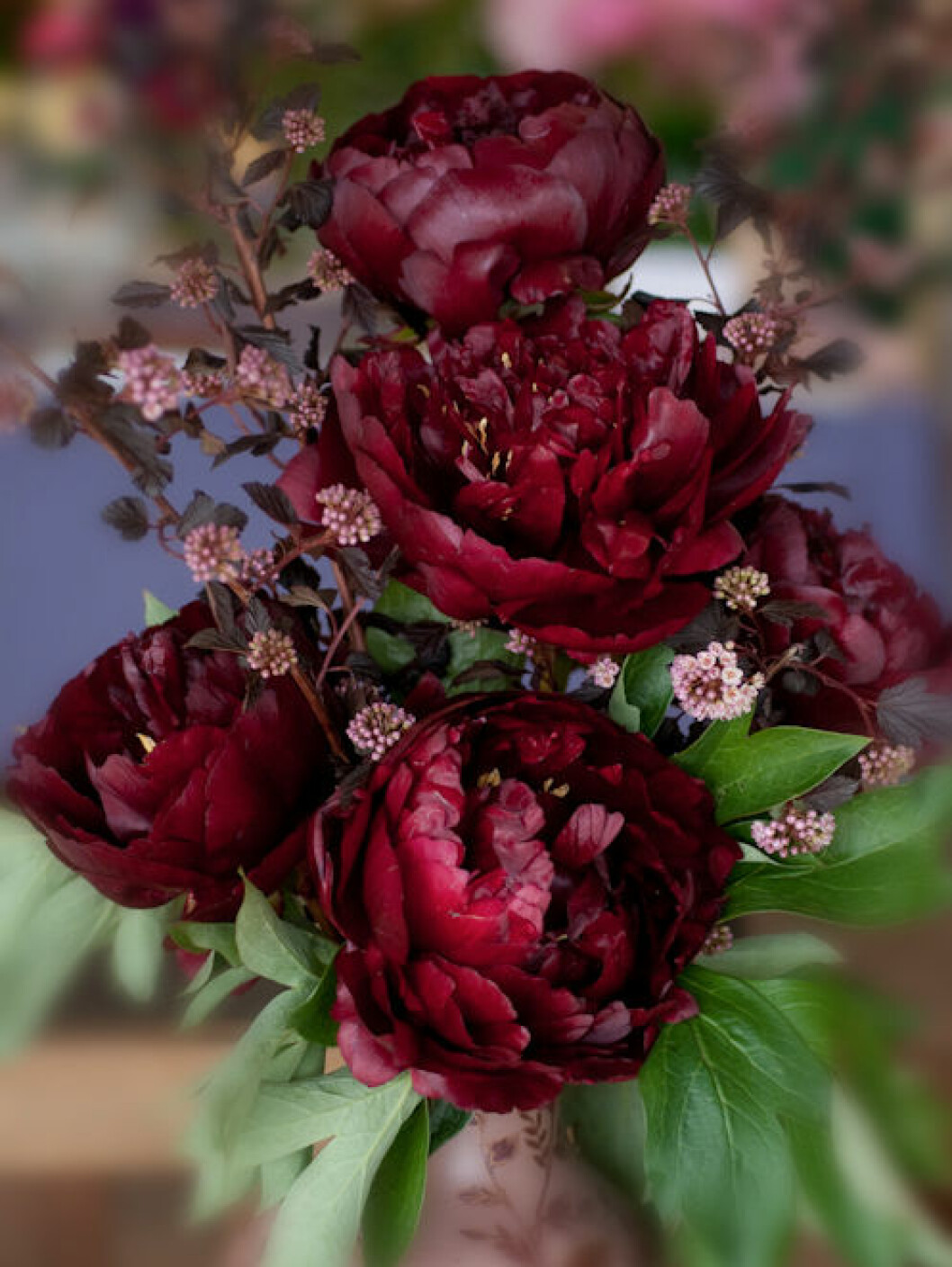 Foto via: <a href="http://georgiannalane.com/2010/06/paean-to-paeony.html" target="_blank" rel="noopener">Georgianna Lane</a>
