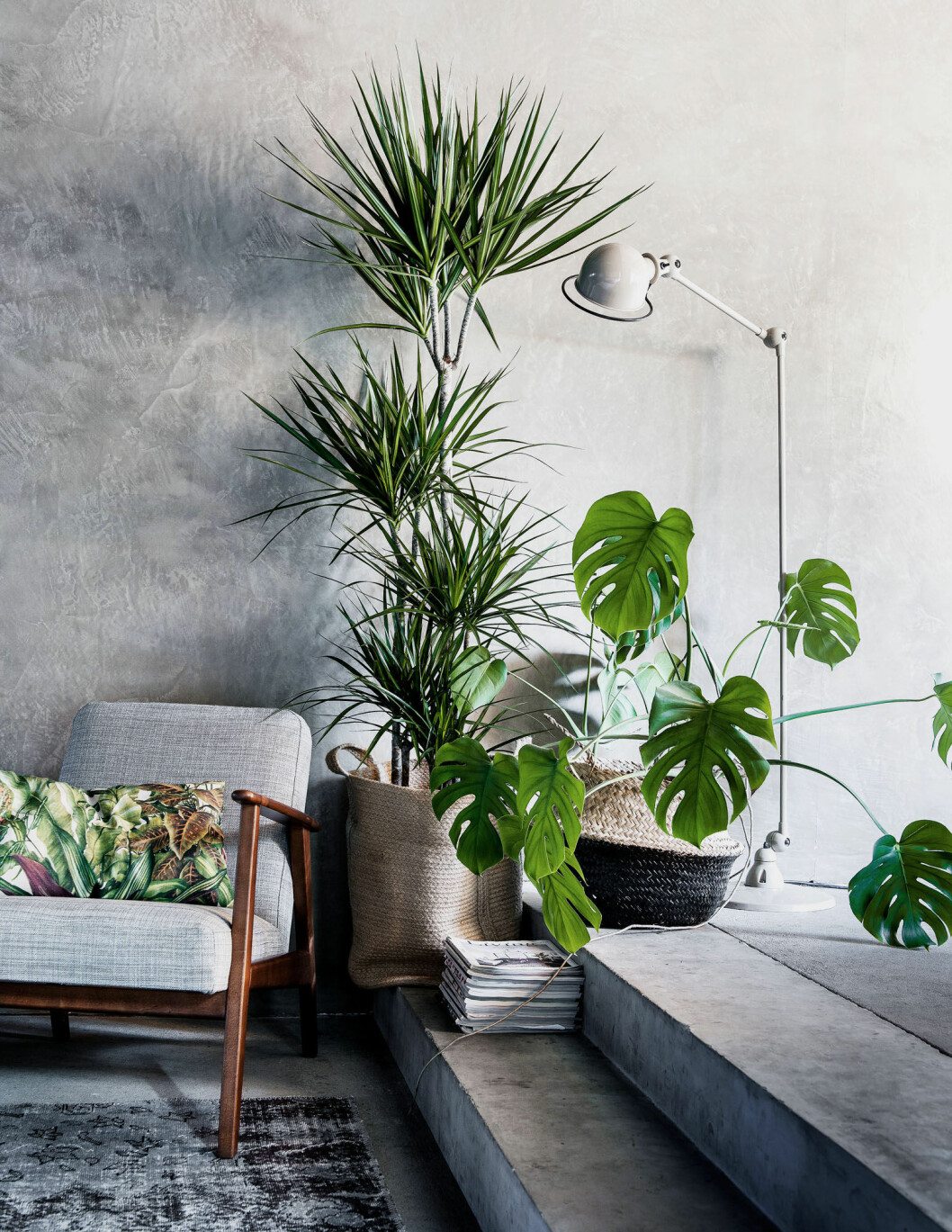 Via: <a href="http://roomed.nl/inspiratieboost-14x-de-monstera-of-gatenplant-in-huis/" target="_blank" rel="noopener">Roomed</a> monstera