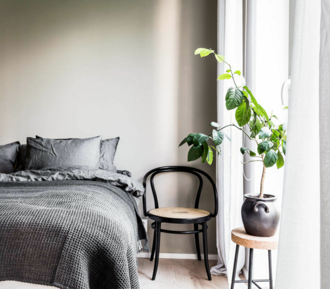 Stolen från Michael Thonet är trendig på Hemnet. 