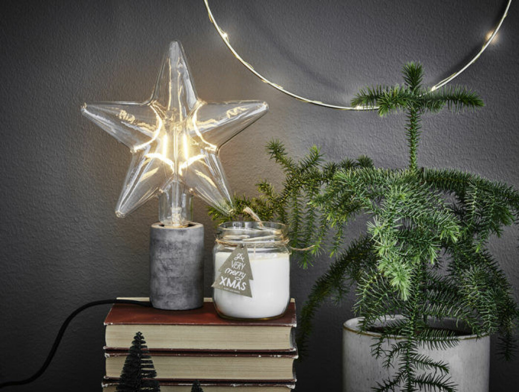 Foto: Lagerhaus Detaljbild på julstjärnor