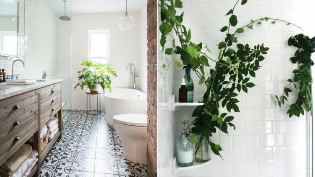 Foto: <a href="http://www.apartmenttherapy.com/house-tour-a-fashion-designers-mid-century-zen-brooklyn-home-240967?utm_source=pinterest&utm_medium=tracking&utm_campaign=pinterest-gallery-share#22" target="_blank" rel="noopener">Apartment therapy</a> / <a href="http://spirossoulis.com/afta-einai-ta-10-pragmata-pou-xreiazetai-kathe-mikro-mpanio/" target="_blank" rel="noopener">Spiros Soulis</a>