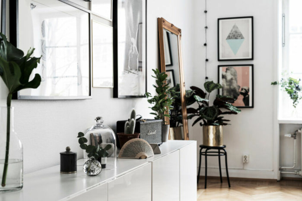 Foto: Christian Olsson/<a href="https://www.instagram.com/clearcutfactory/" target="_blank" rel="noopener">ClearcutFactory</a> för <a href="http://www.husmanhagberg.se/" target="_blank" rel="noopener">Husman Hagberg</a> 03. vaxter-skandinavisk