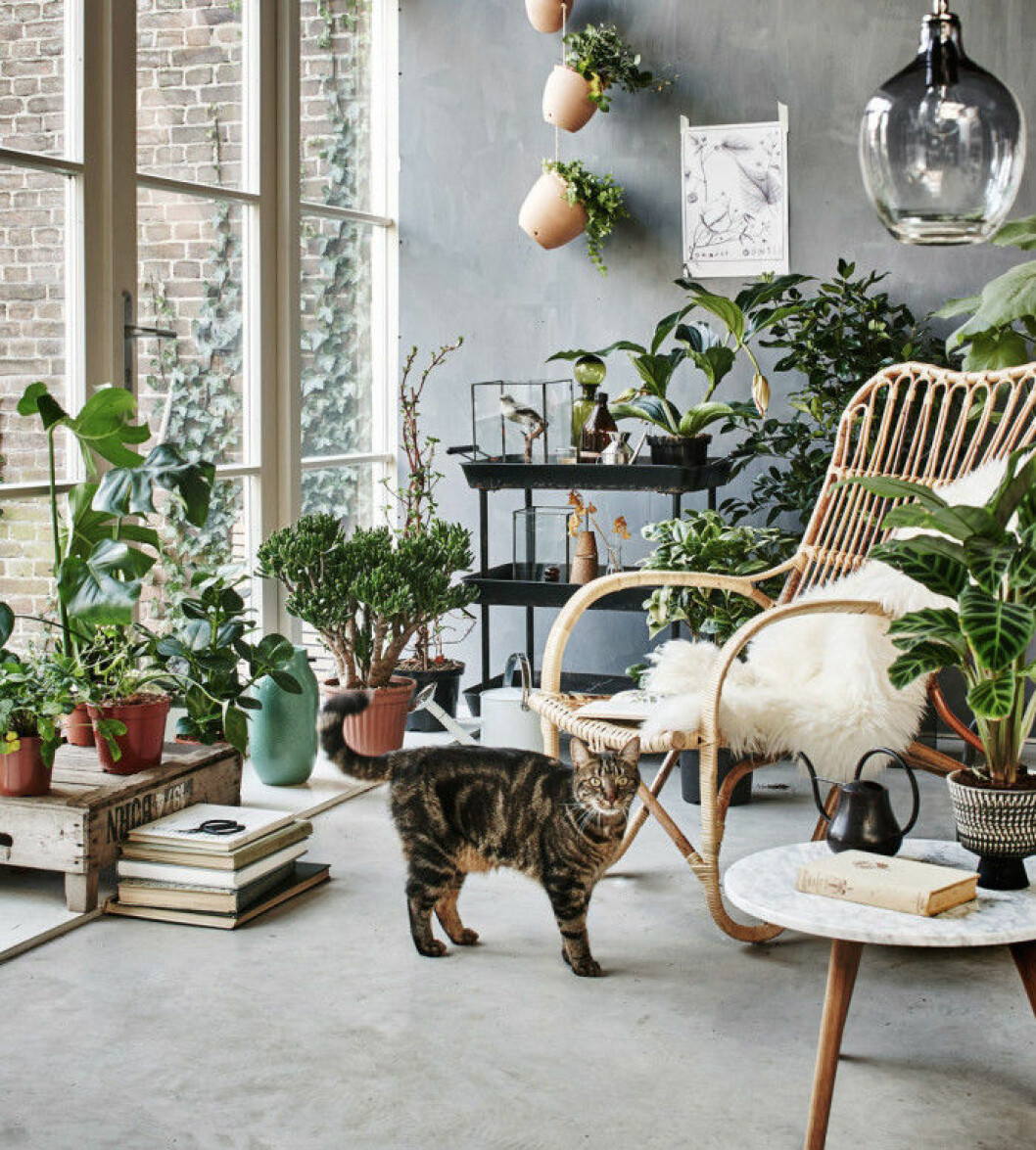 Via: <a href="http://www.fashionista.nl/deze-green-home-decoration-is-vast-wat-voor-jou/" target="_blank" rel="noopener">Fashionista</a> 04. balkong2