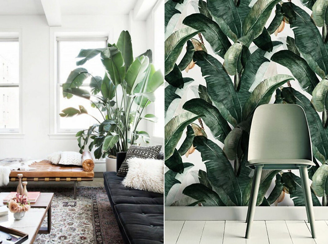Foto: Claire Esparros för Homepolish via <a href="http://www.mydomaine.com/open-plan-home-ideas/" target="_blank" rel="noopener">My domaine</a> / <a href="http://www.indiehomecollective.com/blog/the-green-edit" target="_blank" rel="noopener">Indie home collective</a> Tapet med mönster av bananplanta