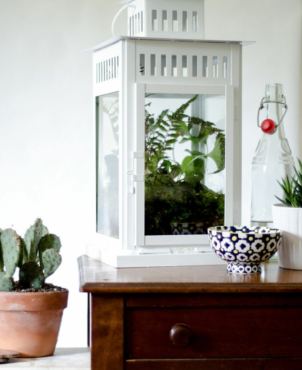 Foto: Thou swell Växtterrarium i form av en vit lykta