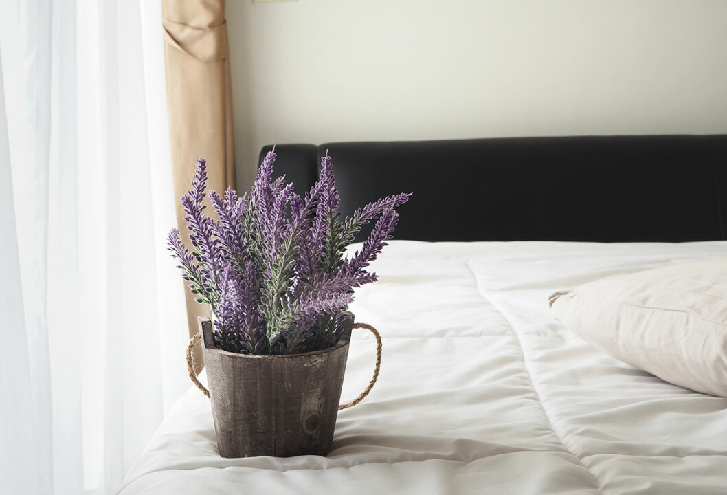04. lavendel