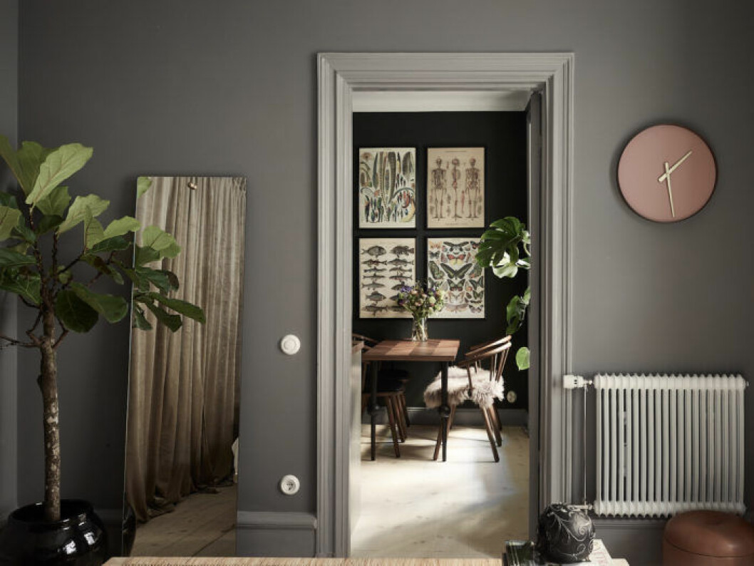 Gråmålade väggar, Mole's breath från Farrow & Ball. Spegel på golvet och fiolfikus på stam.