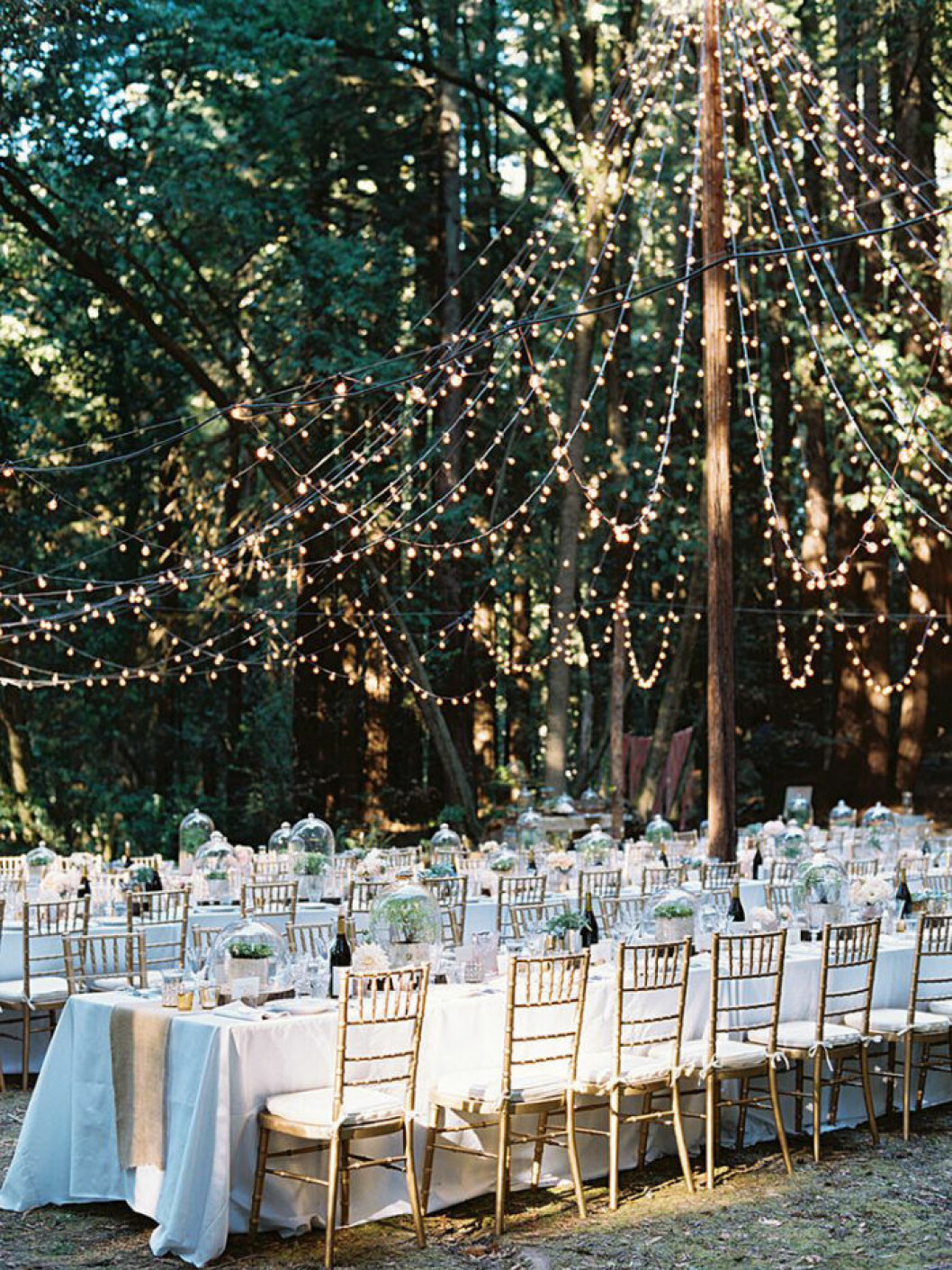 Foto: Austin Gros via <a href="https://www.theknot.com/content/transform-your-wedding-reception-space" target="_blank" rel="noopener">The Knot</a> Utomhusmiljö, bröllopsdukning och dekoration med ljusslingor.