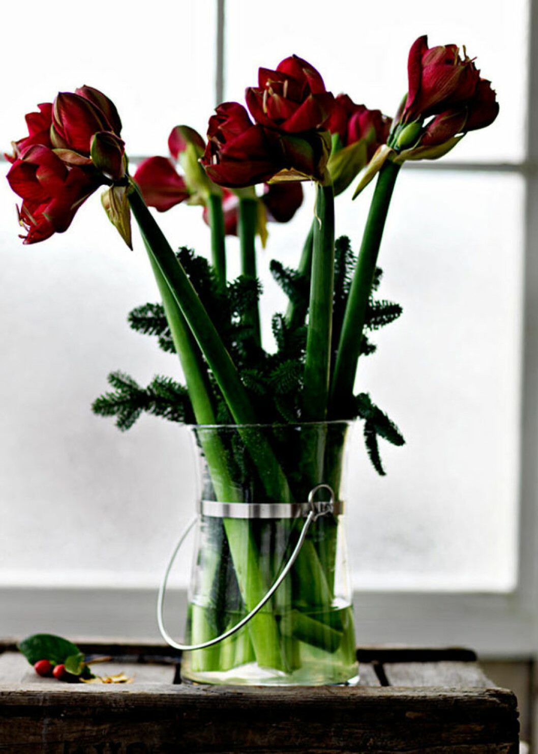 Foto: Ikea Röd amaryllis och granris i en genomskinlig vas.