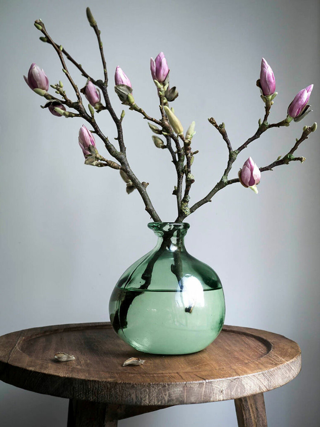 Foto via: <a href="http://www.entrezmagazine.nl/inspiratie-bloesem/" target="_blank" rel="noopener">Entrez</a> Blomstrande knoppar