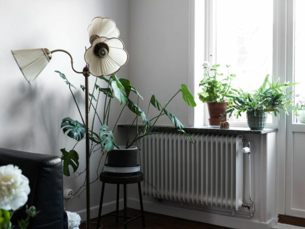 Foto: Johan Spinnell Styling: Lindholm för <a href="https://www.instagram.com/historiskahem/" target="_blank" rel="noopener">Historiska hem</a>/mäklare: Katarina Ljung Antika lampor är trendigt.