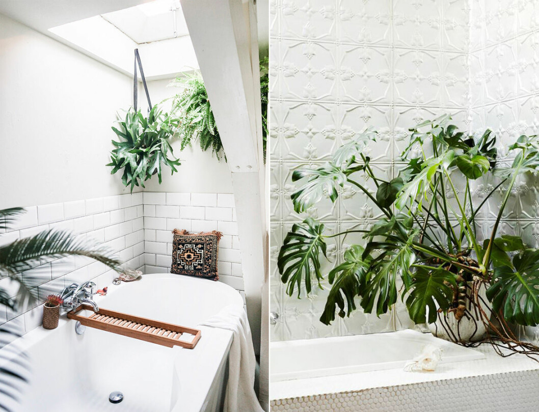 Foto: <a href="http://www.designsponge.com/2016/12/a-1636-former-spice-warehouse-turned-family-home-in-amsterdam.html" target="_blank" rel="noopener">Design sponge</a> / <a href="http://neverlaandss.tumblr.com/post/139036399189" target="_blank" rel="noopener">Neverlaandss</a> Inred badrummet med växter.