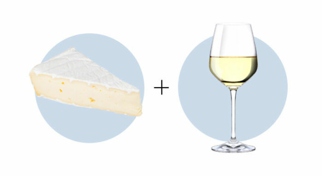 Ost och vinkombination Camembert och Chardonnay
