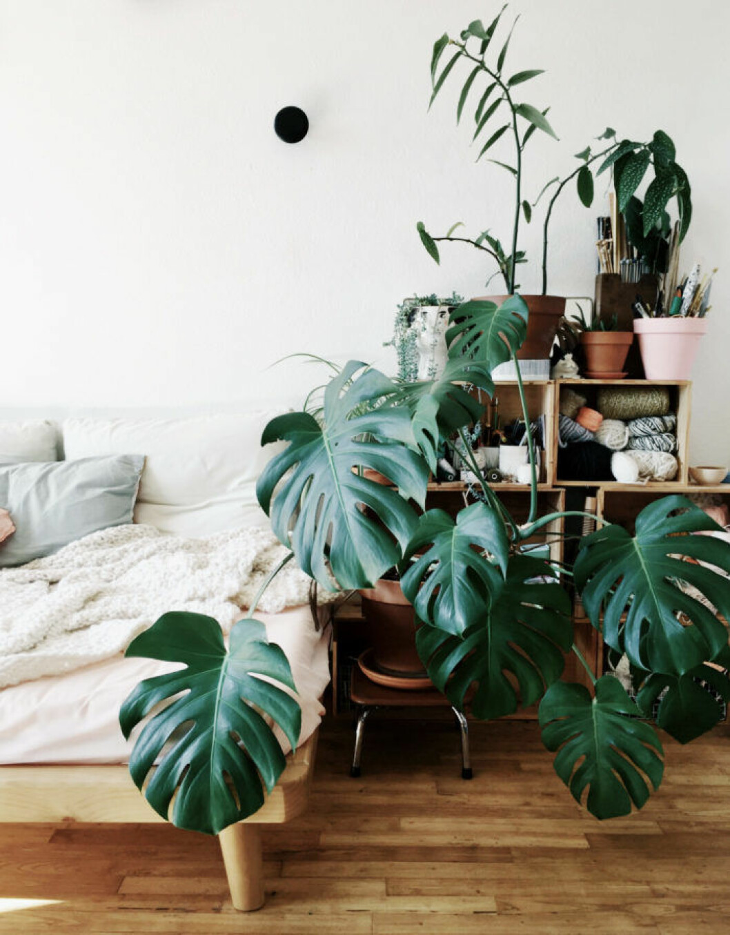 Foto via: <a href="http://morganours.com/2016/et-puis-du-vert/" target="_blank" rel="noopener">Morganours</a>