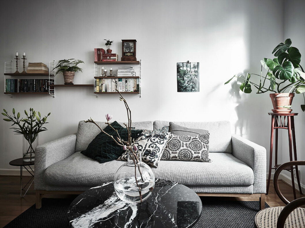 Foto: <a href="https://www.instagram.com/fotografanders/" target="_blank" rel="noopener">Anders Bergstedt</a> för <a href="https://www.instagram.com/entrancemakleri/" target="_blank" rel="noopener">Entrance mäkleri</a>/mäklare: Jessica Fridstedt Vardagsrum med växter på bord och golv