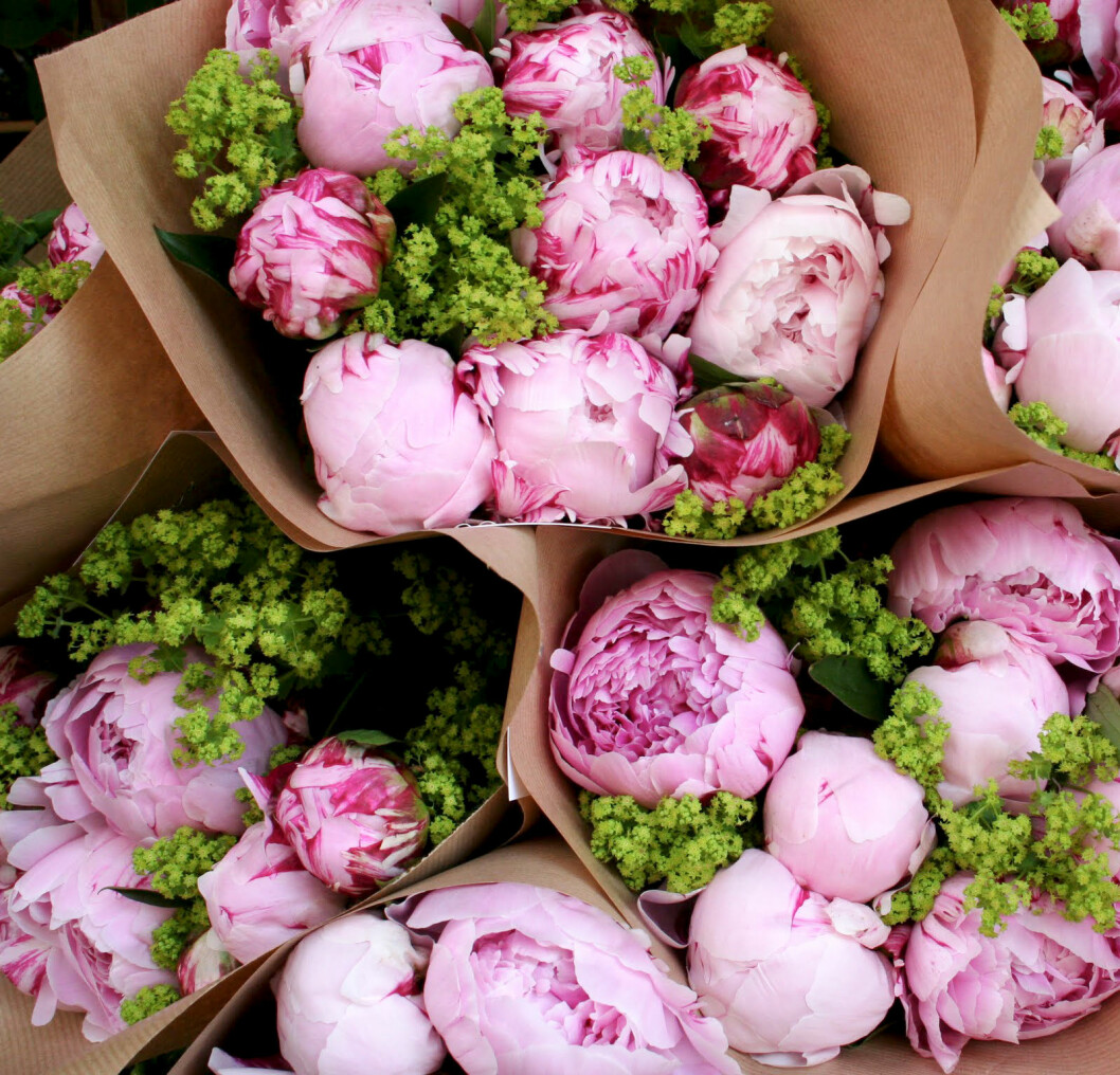 Foto via: <a href="https://www.willowbudshop.com.au/nearly-peony-time/" target="_blank" rel="noopener">Willow bud shop</a>
