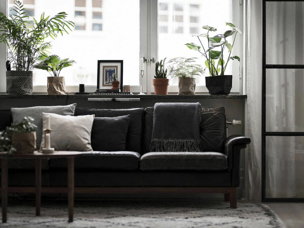 Foto: Adam Helbaoui/Kronfoto Styling: Angelica Rydström för <a href="https://www.instagram.com/bosthlm_realestate/" target="_blank" rel="noopener">Bo Sthlm</a>/mäklare: Cecilia Heikkilä Fönsterbräda med en härlig mix av böcker, konst och växter