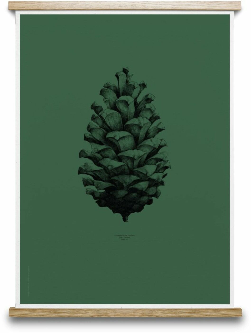 06016_FUWL_Pinecone_dark_Forest_Green-802x1062