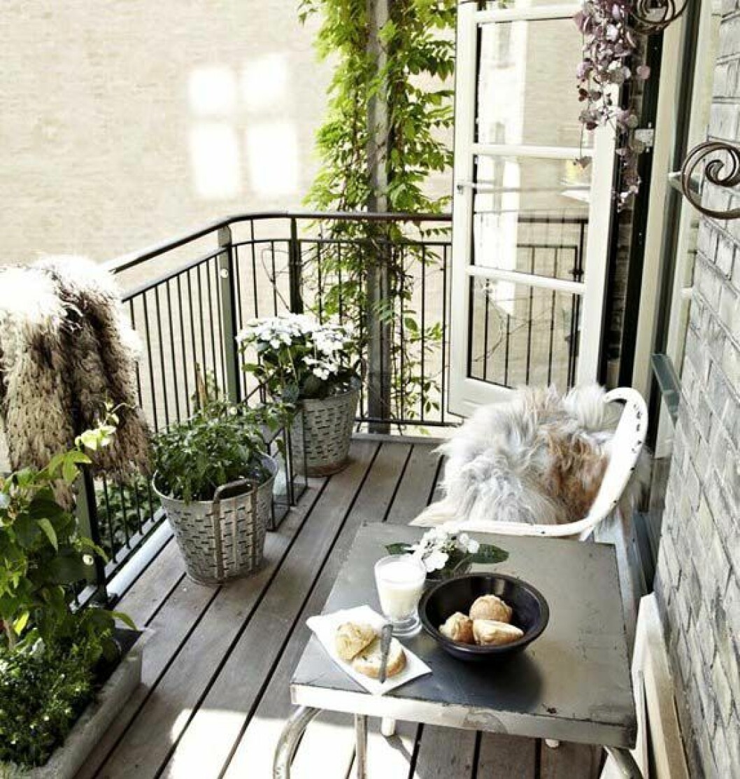 Via: <a href="http://www.dkd.ru/design/book/2124/" target="_blank" rel="noopener">DKD</a> 07. balkong med gröna växter och solljus.