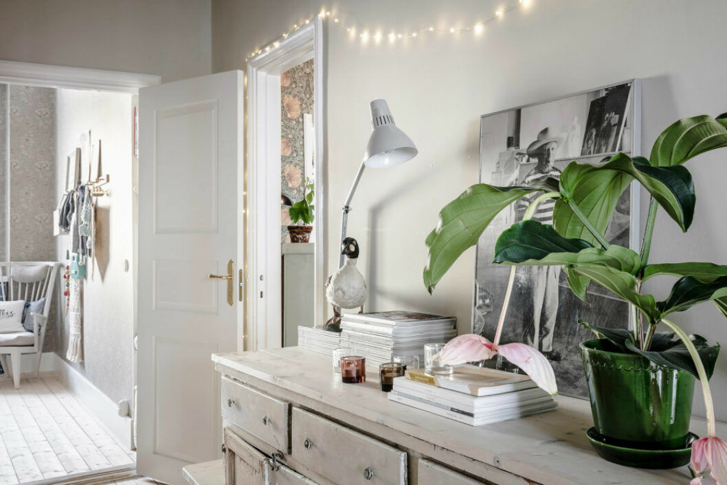 Foto: Anders Bergstedt för <a href="https://www.instagram.com/alvhem/" target="_blank" rel="noopener">Alvhem</a>/mäklare: Sara Wibréus Scandinavian interior inspiration and ideas with light painted walls and green plants.