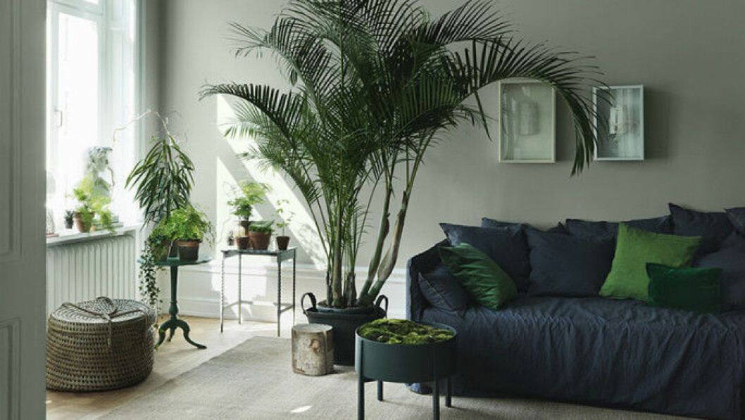 Foto: <a href="http://www.alcro.se/Inomhus/Kollektioner/ad16/Grona-drommar/#5" target="_blank" rel="noopener">Alcro</a>