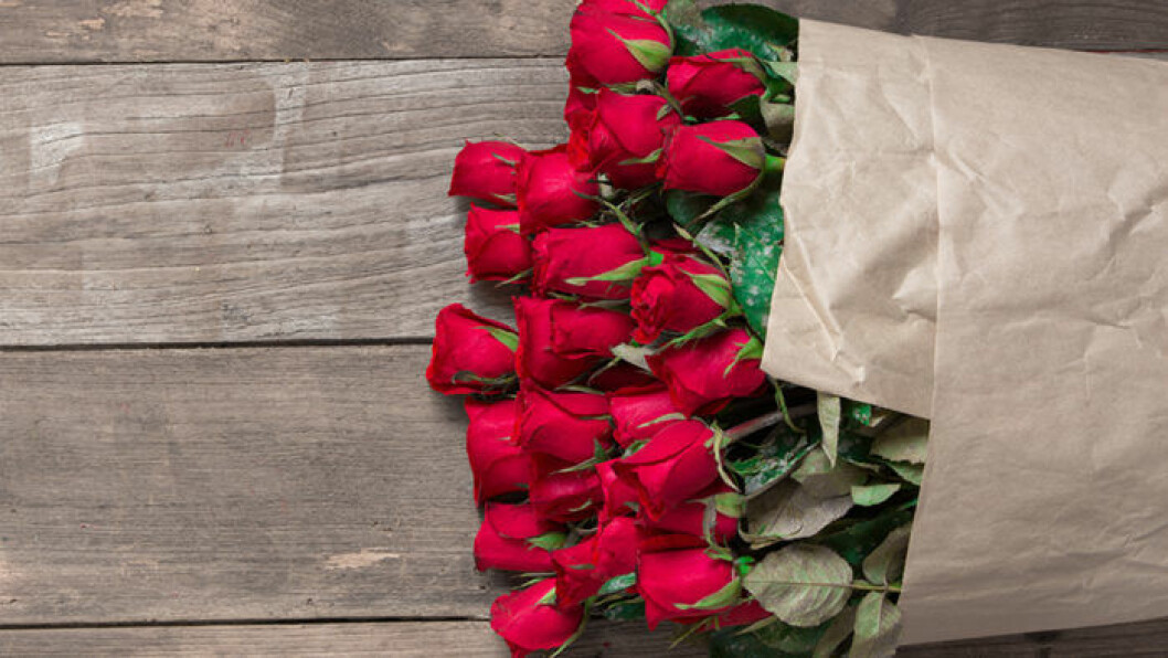 Skötselråd för rosor hittar du <a href="https://www.elle.se/decoration/sa-far-du-rosorna-att-halla-langre-6-knep/">här</a>. Foto: Shutterstock Bukett med röda rosor
