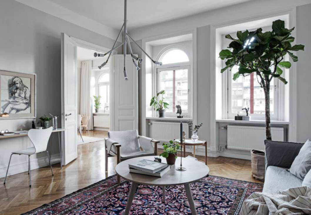 Foto: <a href="https://www.instagram.com/fredrikjkarlsson/" target="_blank" rel="noopener">Fredrik J Karlsson</a> Styling: <a href="https://www.instagram.com/nouvel.interior/" target="_blank" rel="noopener">Nouvel Interiör</a> för <a href="https://www.instagram.com/alvhem/" target="_blank" rel="noopener">Alvhem</a>/mäklare: Tony Henschel Vardagsrum med persisk matta, Kvist-lampa och stort fiolfikusträd.
