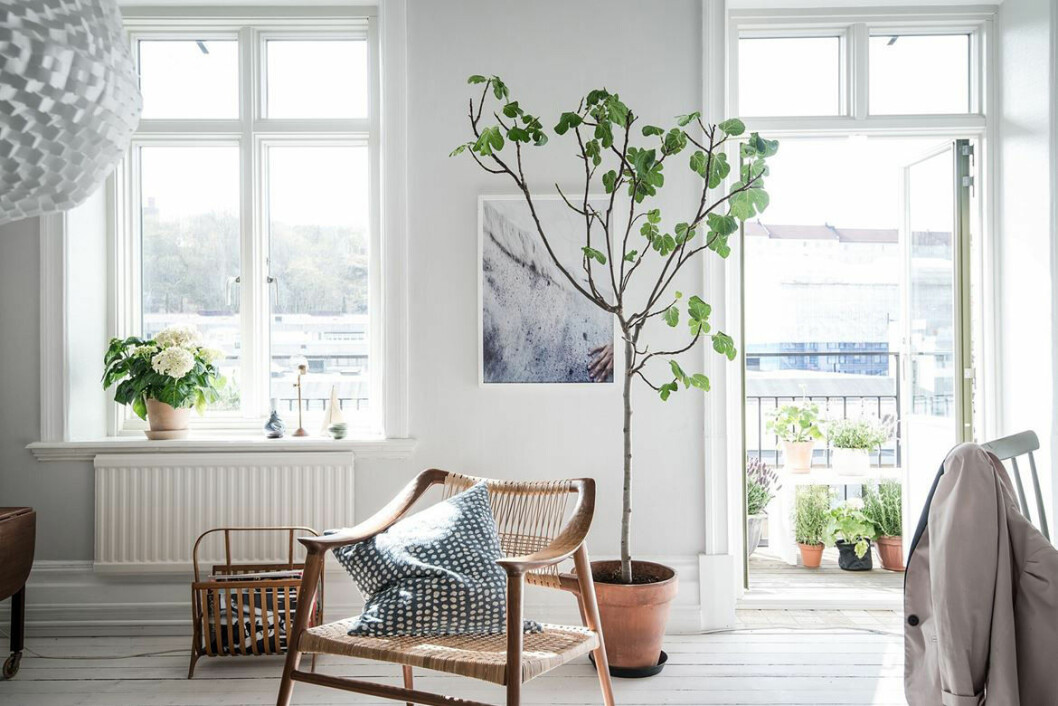 Foto: Alen Cordic Styling: Emma Fischer för <a href="https://www.instagram.com/bjurfors_goteborg/" target="_blank" rel="noopener">Bjurfors</a>/mäklare: Anna Melin Fikus