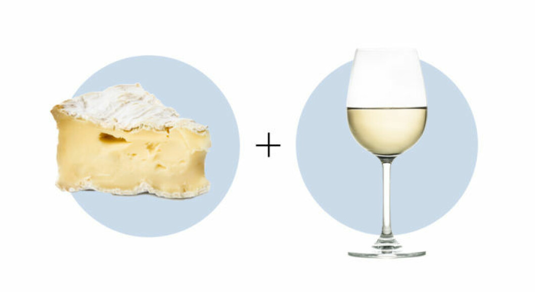 Ost och vinkombination brie och riesling