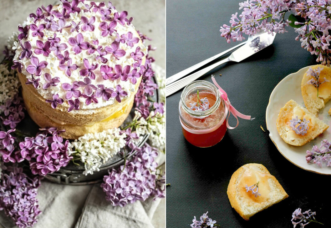 Via: <a href="http://www.brit.co/lilac-recipes/" target="_blank" rel="noopener">Brit co</a>