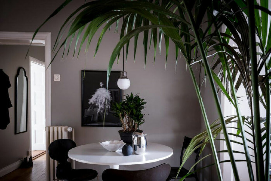 Foto: Alen Cordic Styling. Emma Fischer för <a href="https://www.instagram.com/bjurfors_goteborg/" target="_blank" rel="noopener">Bjurfors</a>/mäklare: Sarah Gustafsson Scandinavian decoration and ideas. Greige painted wall.