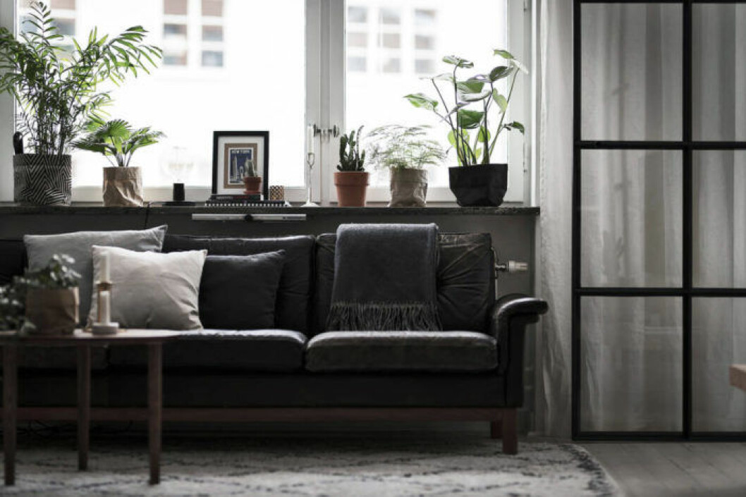 Foto: Adam Helbaoui/Kronfoto Styling: Angelica Rydström/Rydströmskan för <a href="https://www.instagram.com/bosthlm_realestate/" target="_blank" rel="noopener">Bo Sthlm</a>/mäklare: Cecilia Heikkilä Vardagsrum där fönsterbrädan nyttjas för växter, konst och smådetaljer