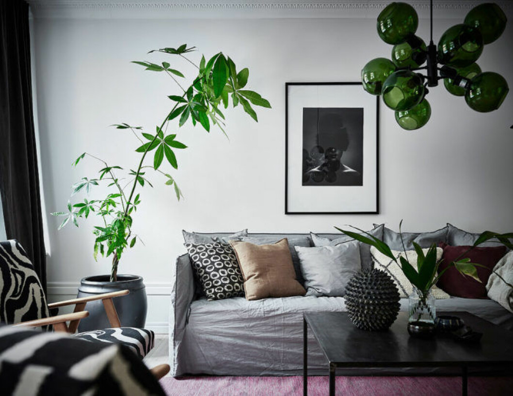 Foto: Anders Bergstedt Styling: Anna Furbacken och Elli Roshandel för <a href="https://www.instagram.com/entrancemakleri/" target="_blank" rel="noopener">Entrance mäkleri</a>/mäklare: Erika Bergholm Klargrönt som accentfärg på lampa, kuddar och växter