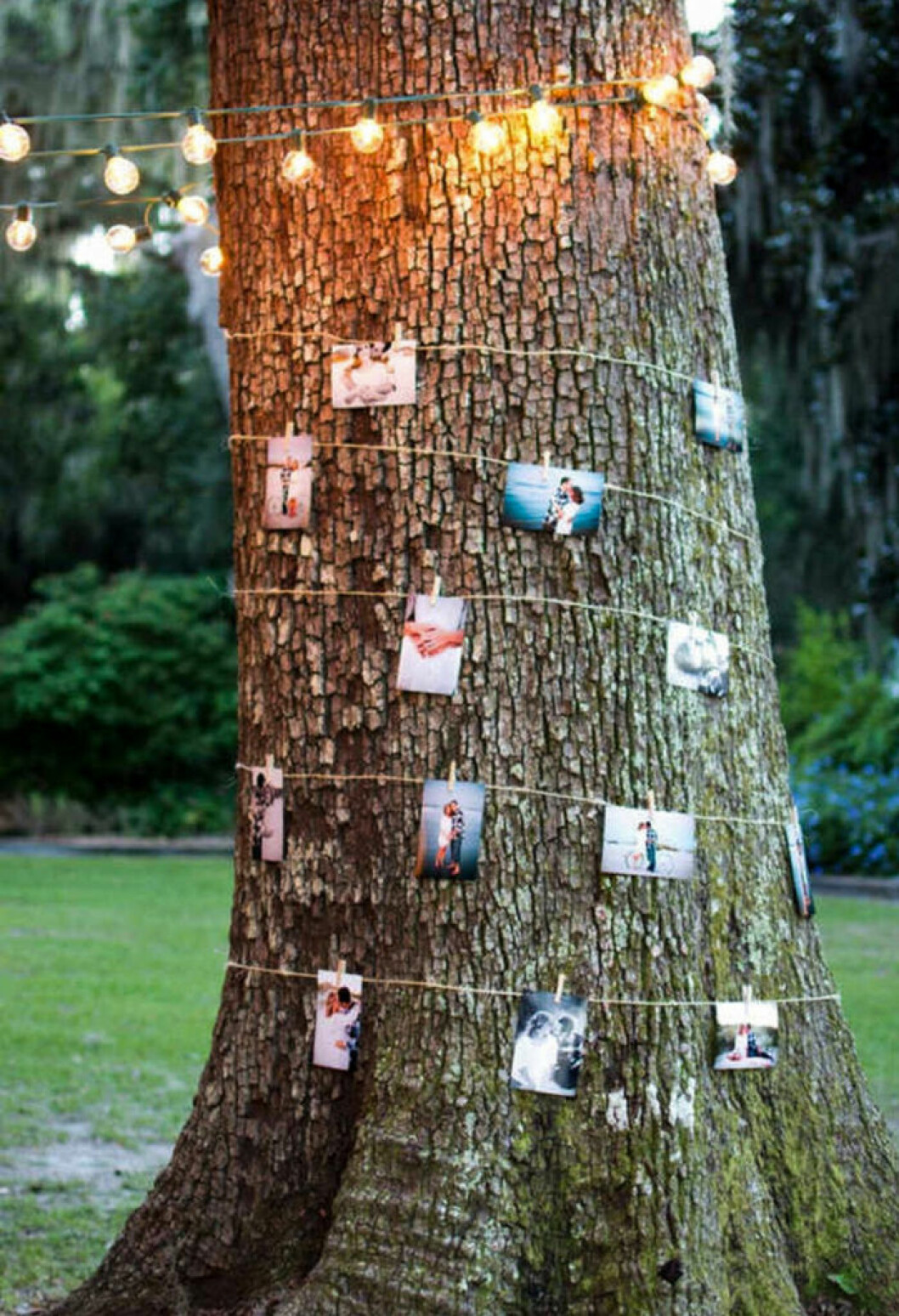 Foto via: <a href="https://www.everafterguide.net/homemade-wedding-decorations.html?sid=nad1f10pbeov4yhhwdszfhxtdxzmtpf0" target="_blank" rel="noopener">Ever after guide</a> Dekoration för bröllop med ljusslingor.